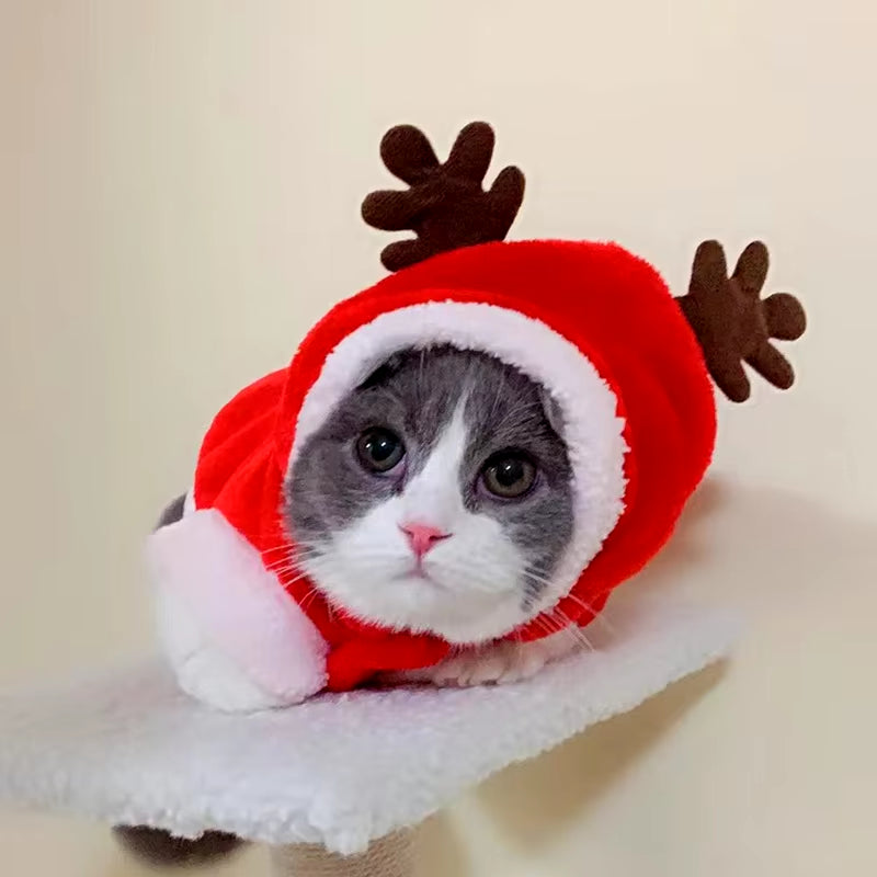 Christmas Sphynx Cat Hooded Sweater Winter Warm Pet Costume for Cats Gotas Katten Garfield Clothes Sweatshirt Mascotas Clothing